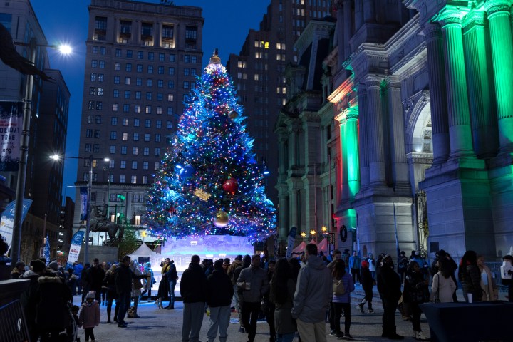 A festively decorated Christmas tree lit up at night in front of Philadelphia's City Hall. The columns at the entrance to the building are lit with green and red lights. Crowds of people mill around, looking at the lights.