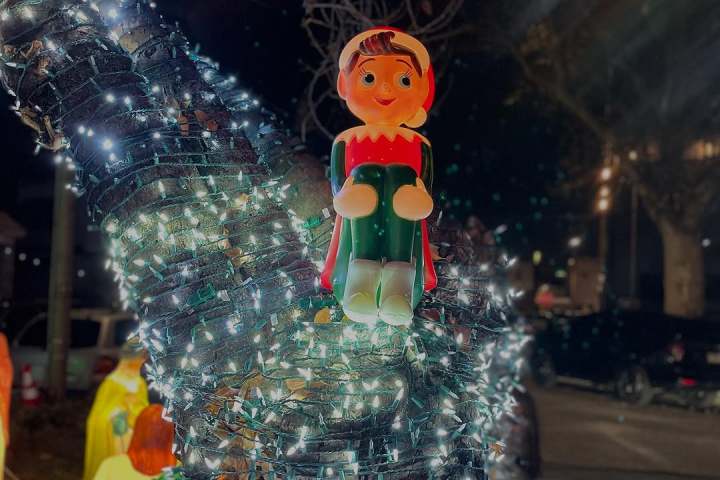 Illuminated elf figure on tree wrapped with white lights at night.